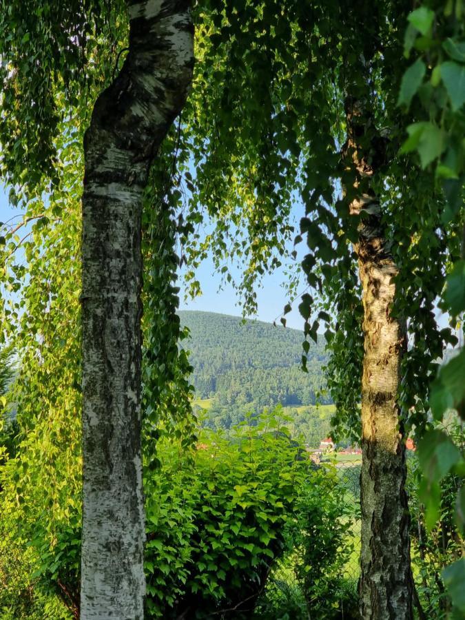 Naszjestwasz Villa Gorki Male  Екстериор снимка